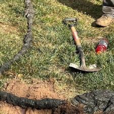 How Often Should You Really Schedule Professional Drain Cleaning?