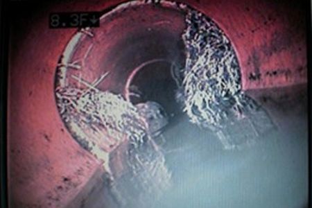 Trenchless sewer line replacement benefits